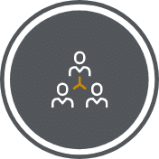 Dedicated project team